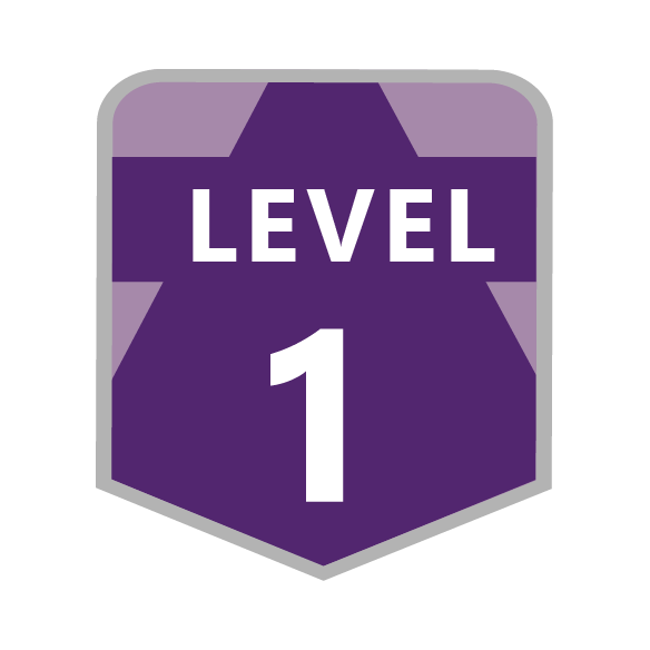 Level 1 - Belize Ticket Master