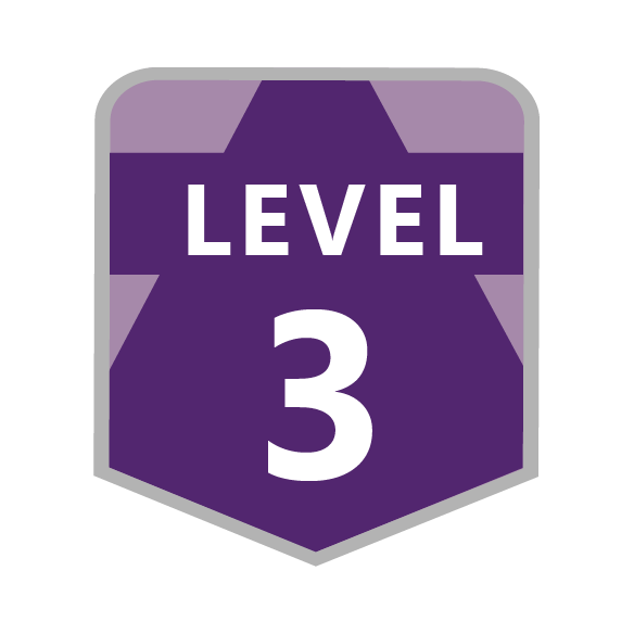 level 3 - Belize Ticket Master